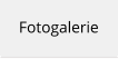 Fotogalerie