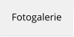 Fotogalerie
